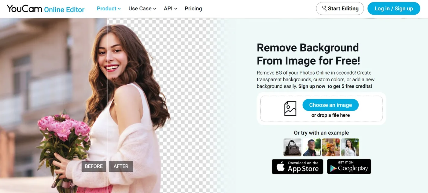 YouCam Online Editor