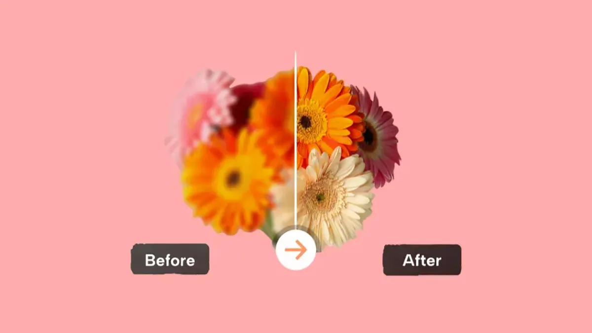 How to Make a Blurry Picture Clear Step by Step Guide
