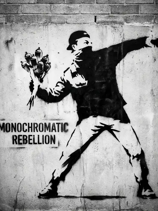 Monochromatic Rebellion