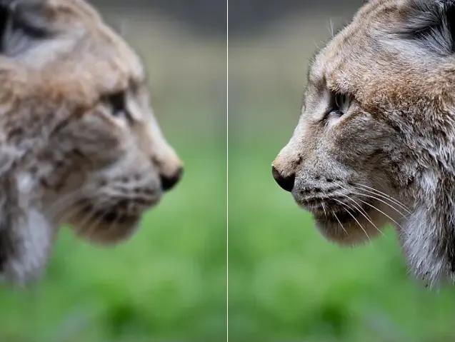 ai photo enhancer